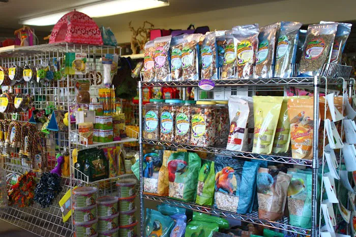 Feathered Follies Picture 4