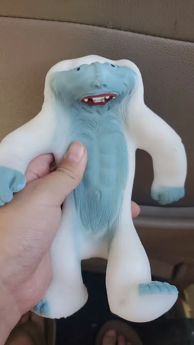 Feathered Follies Picture 6