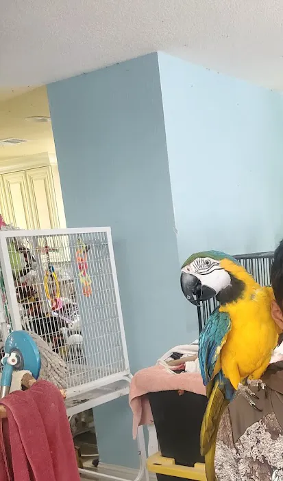 Avian Rescue Picture 2