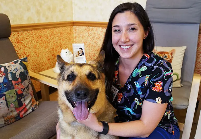 All Pets Dental Care & Oral Surgery Picture 6