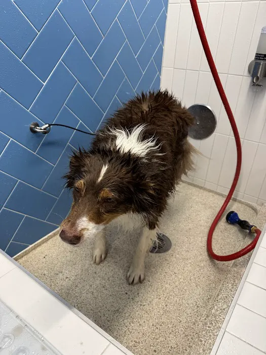 Pet Food Express Picture 3