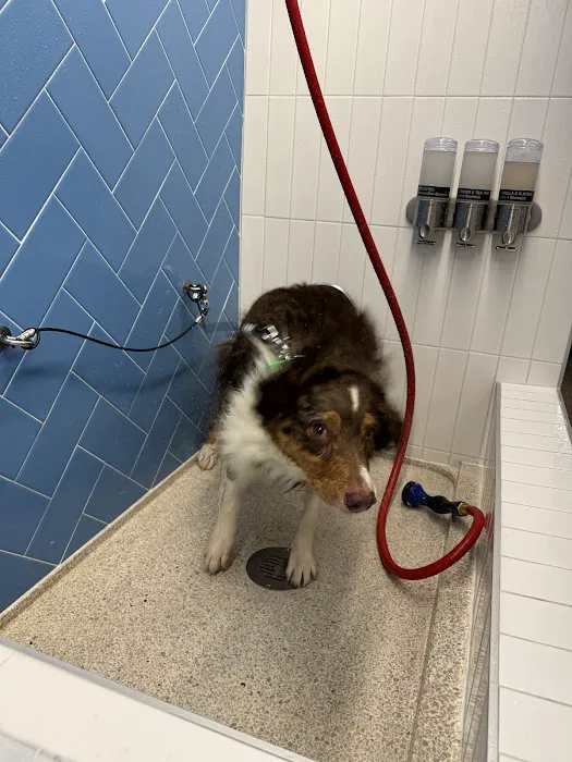 Pet Food Express Picture 4