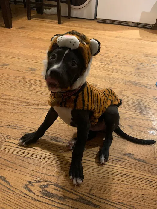 Smithfield Animal Hospital Picture 2