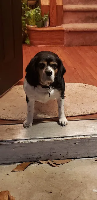 Smithfield Animal Hospital Picture 7