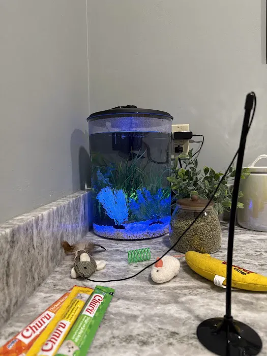 Smithfield Animal Hospital Picture 10