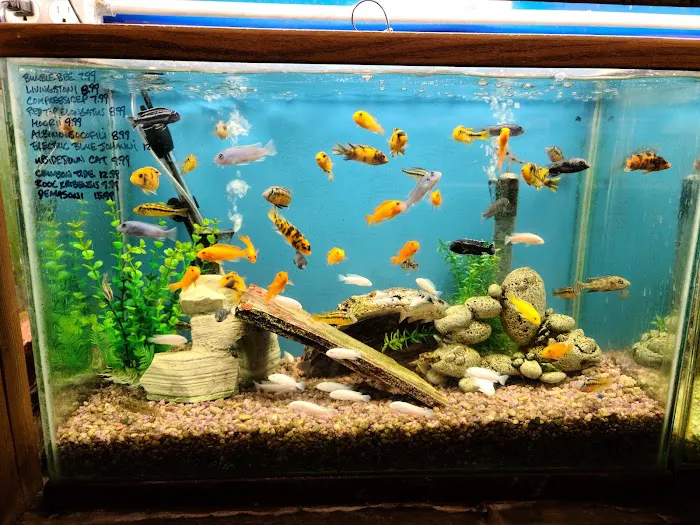 Tropical Fish World Picture 1