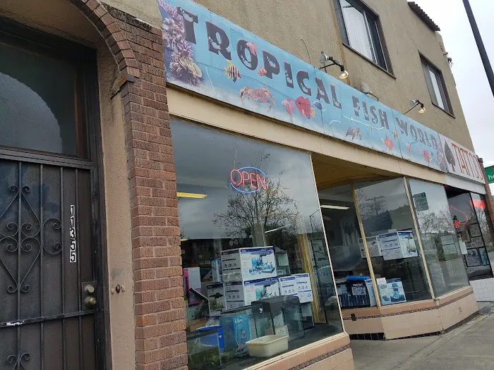 Tropical Fish World Picture 3