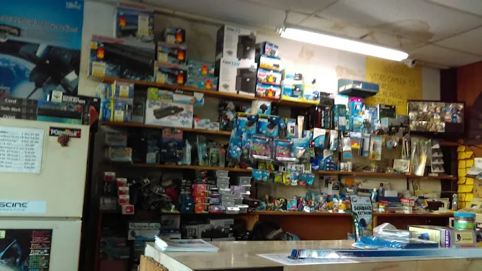 Tropical Fish World Picture 5