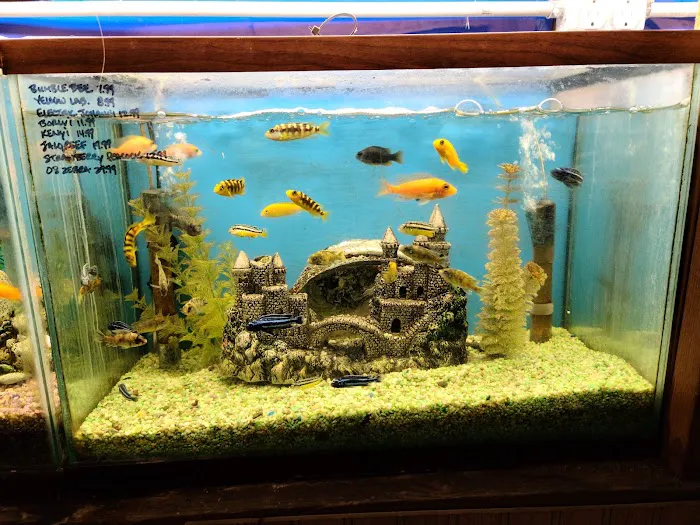 Tropical Fish World Picture 6