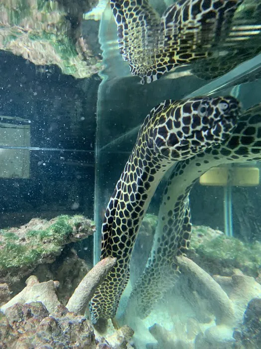 Tropical Fish World Picture 7