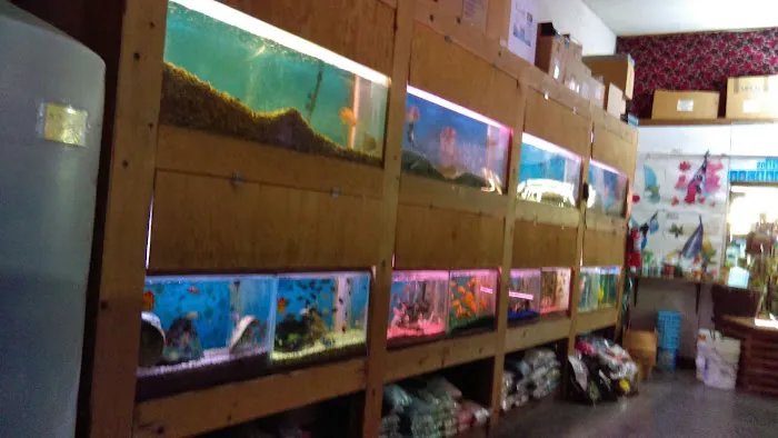 Tropical Fish World Picture 8