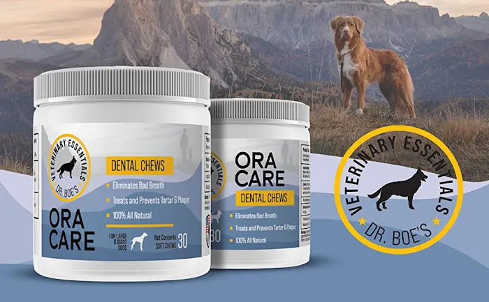 Veterinary Essentials Picture 2