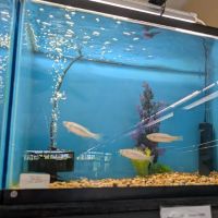 Veterinary Emergency & Referral Hospital ico