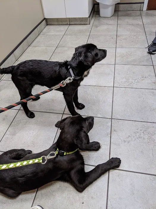 Barton Heights Veterinary Hospital Picture 6