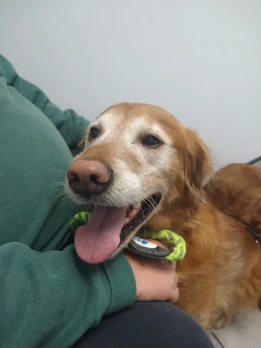 Barton Heights Veterinary Hospital Picture 9
