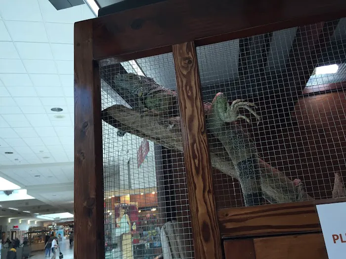 Shedskin Reptiles Picture 1