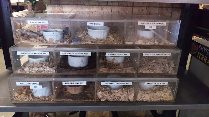 Shedskin Reptiles Picture 3