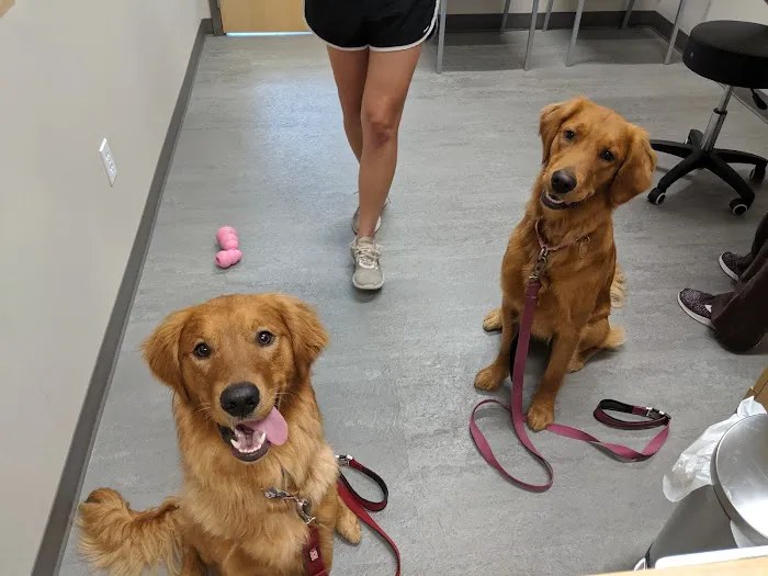 pet supplier Picture 3