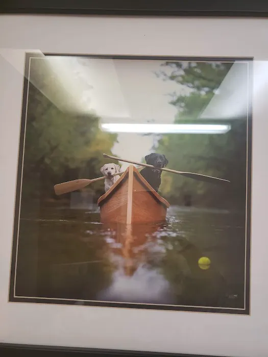 Nestor Lee DVM Picture 2