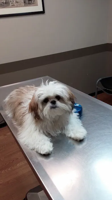 Justus Vets. Stephenson DVM, Nestor VMD, Williams VMD, and Lee DVM Picture 8