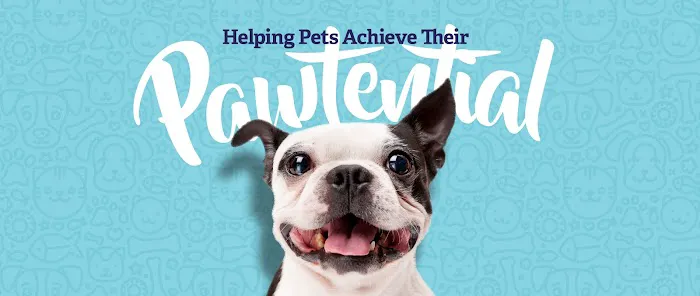 Vethouse Pet Care Picture 8