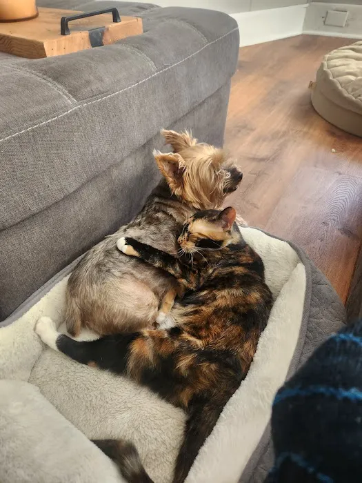 Vethouse Pet Care Picture 11