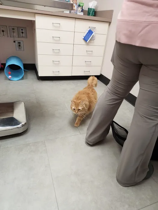 Vethouse Pet Care Picture 13