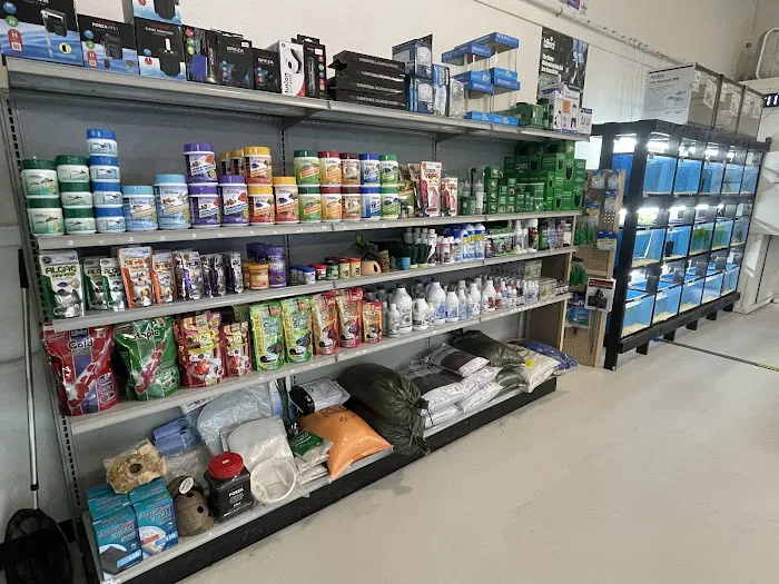 JJ Aquarium Picture 2