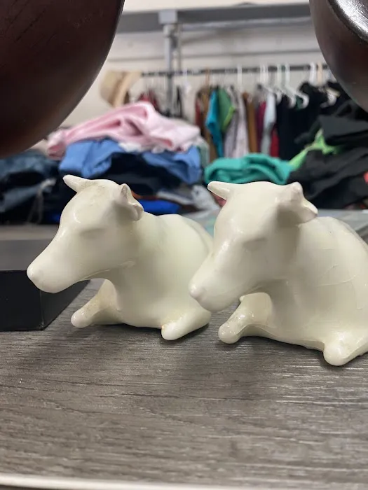 JJ Aquarium Picture 3