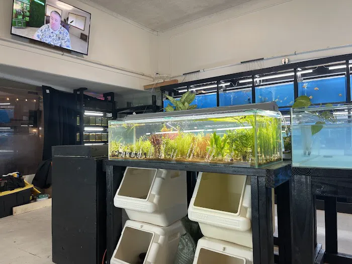 JJ Aquarium Picture 4