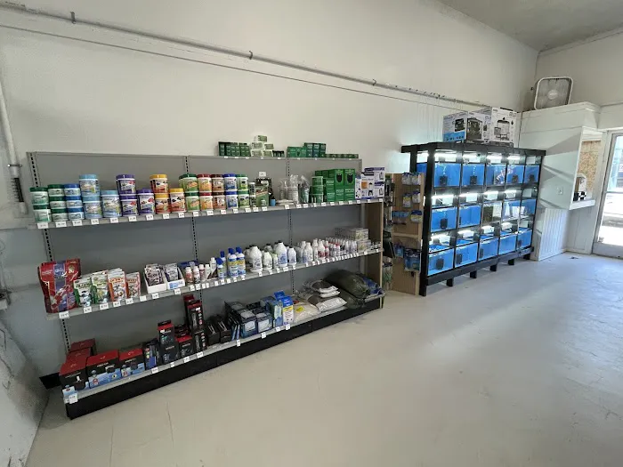 JJ Aquarium Picture 5