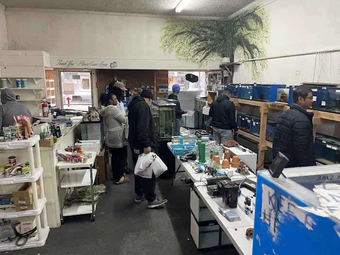 JJ Aquarium Picture 6