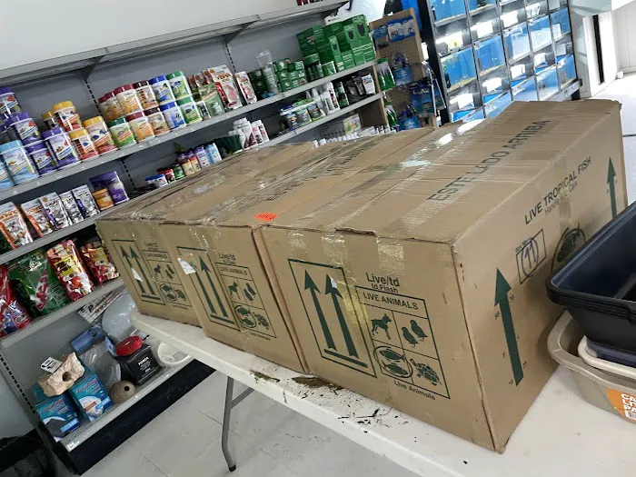 JJ Aquarium Picture 8