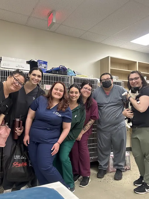 Pet store LLC Picture 7