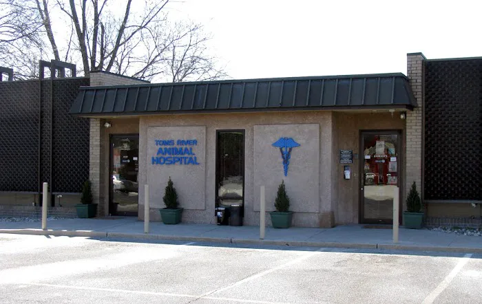 Toms River Animal Hospital Picture 2