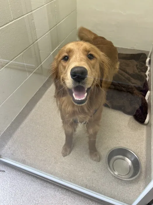 Toms River Animal Hospital Picture 1