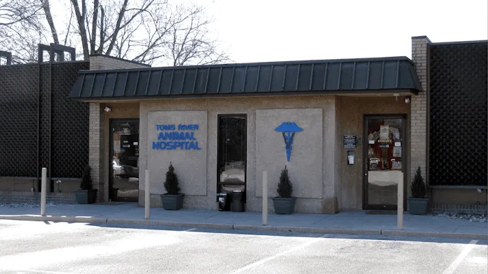 Toms River Animal Hospital Picture 3