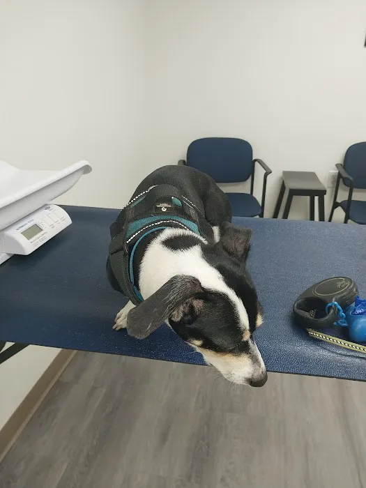 Toms River Animal Hospital Picture 4