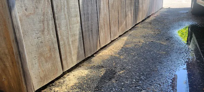 Toms River Animal Hospital Picture 5