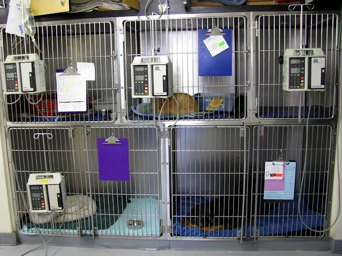 Toms River Animal Hospital Picture 9