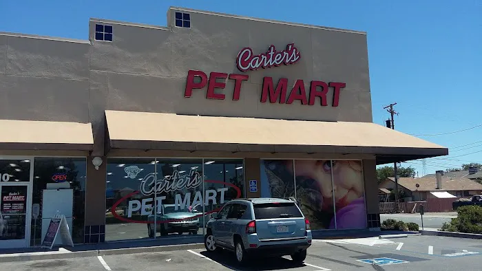 Carter's Pet Mart Inc Picture 1