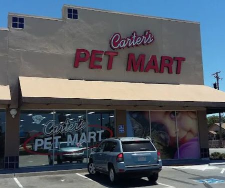 Carter's Pet Mart Inc