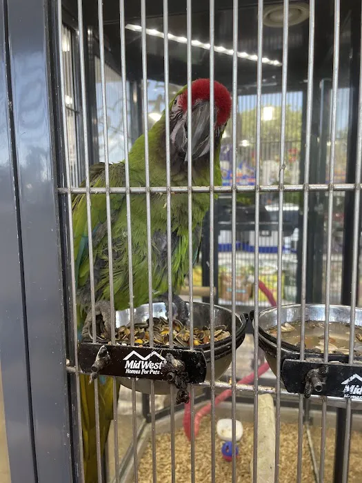 Carter's Pet Mart Inc Picture 2