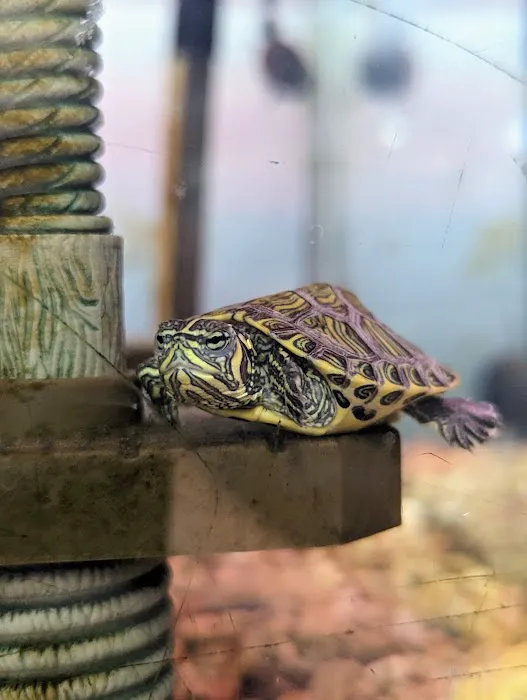 Carter's Pet Mart Inc Picture 5