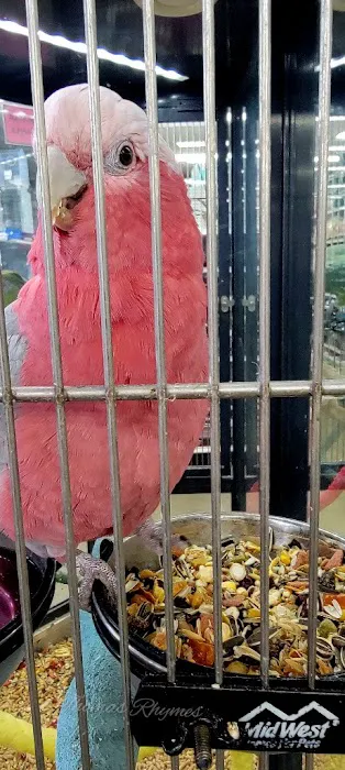 Carter's Pet Mart Inc Picture 6