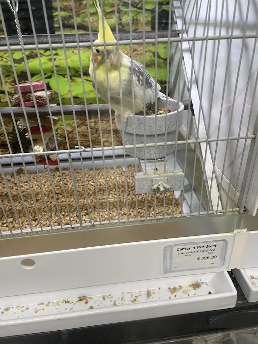 Carter's Pet Mart Inc Picture 7