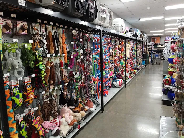 Carter's Pet Mart Inc Picture 8