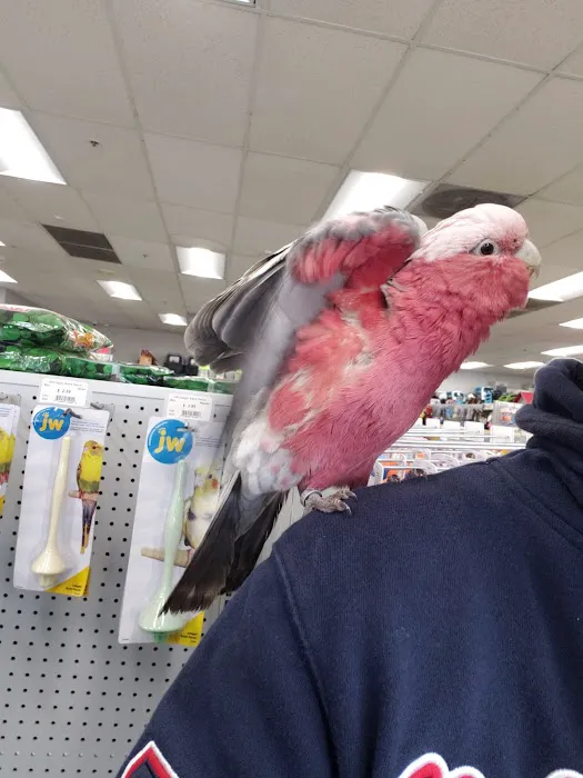 Carter's Pet Mart Inc Picture 9