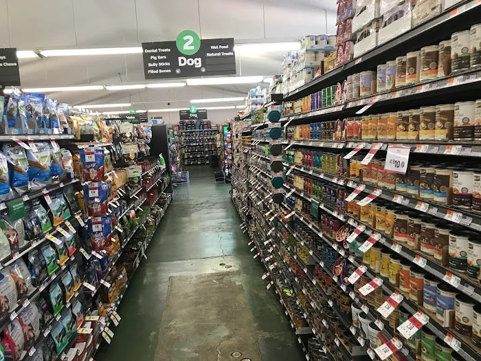 Pet Supplies Plus Stockton Picture 2