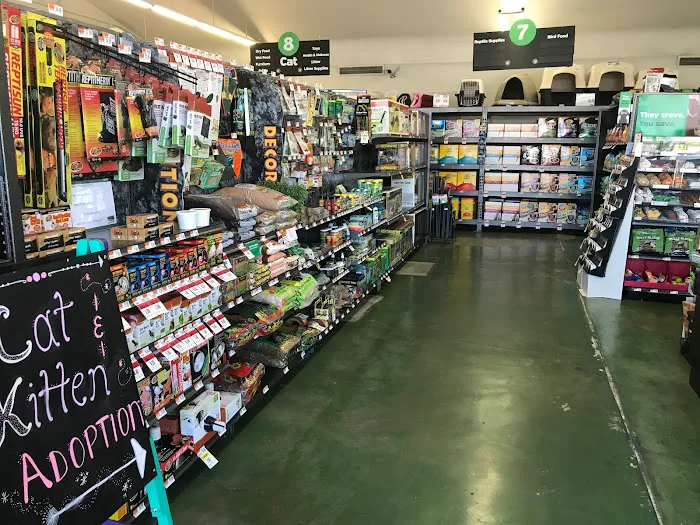 Pet Supplies Plus Stockton Picture 4